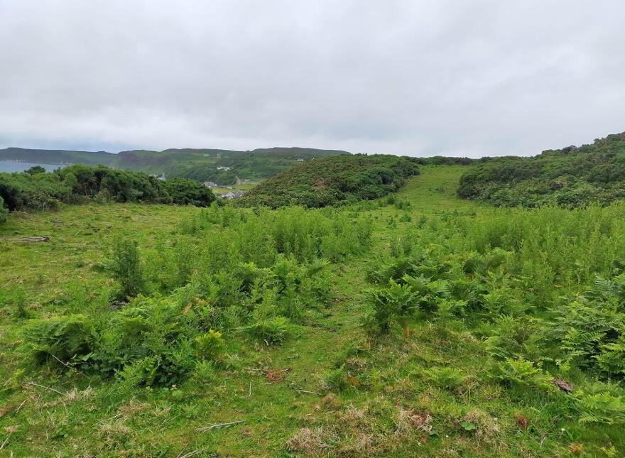 Approx. 22 Acres Land, Coolnagrock, Rathlin Island, Ballycastle, BT54 6RT
