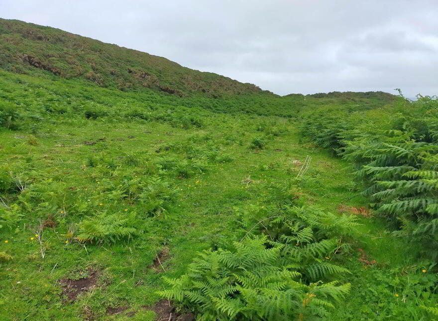 Approx. 22 Acres Land, Coolnagrock, Rathlin Island, Ballycastle, BT54 6RT