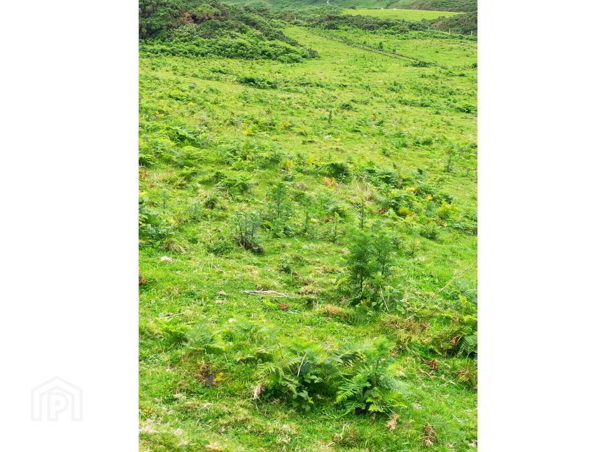 Approx. 22 Acres Land, Coolnagrock, Rathlin Island, Ballycastle, BT54 6RT