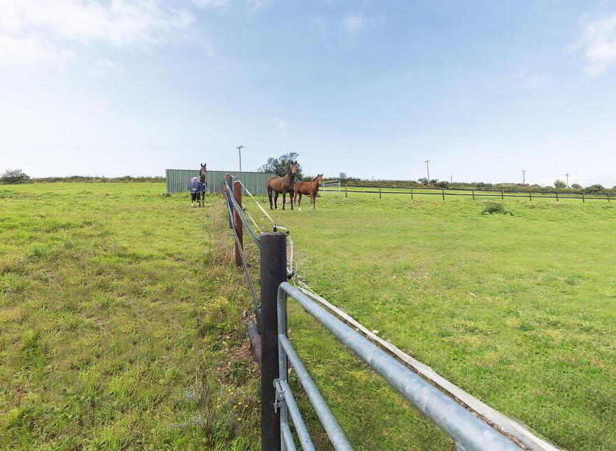 Sea View Stables, East Ferry, Midleton