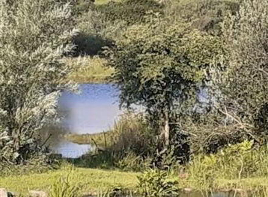 Norfolk House, Gurranes West Cork, North, Drimoleague, P47PY58