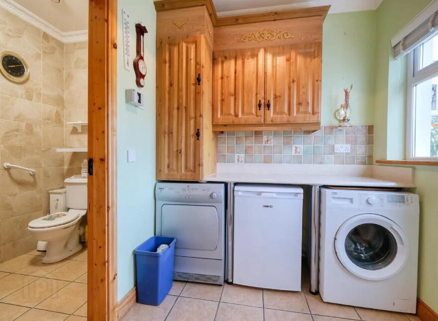Firmullagh, Moyne, N39HA29