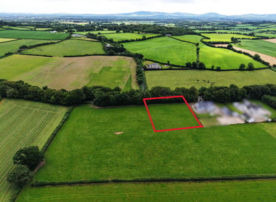 Crowle, Cloughjordan photo