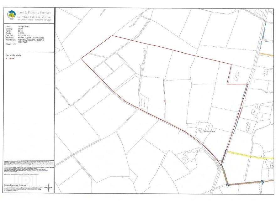 45 Raffrey Road, Crossgar, BT23 6SF