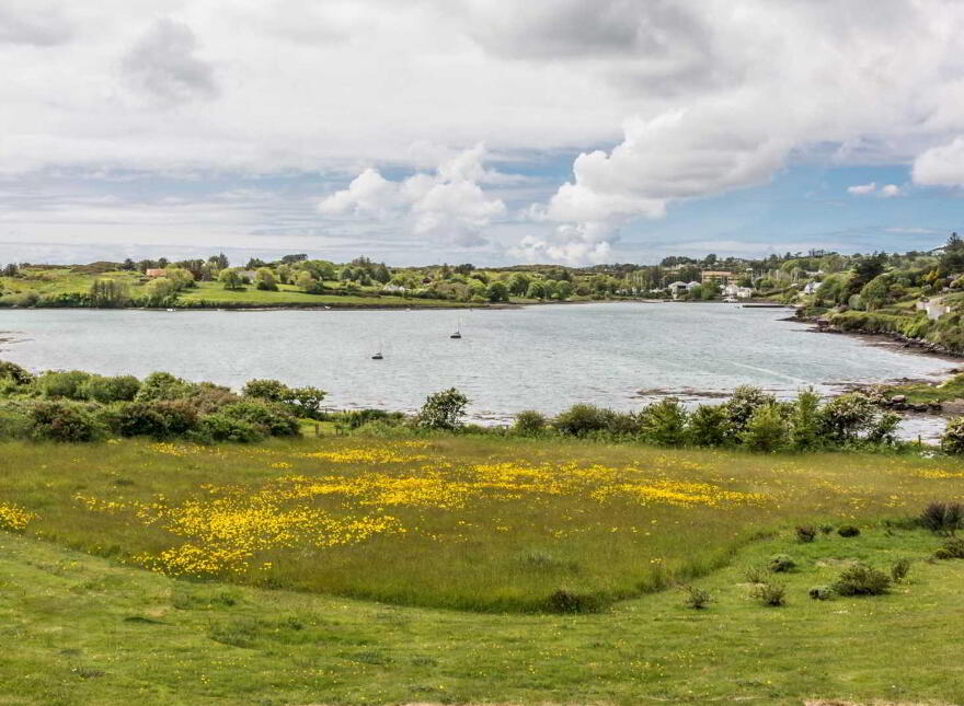 The Stone House, Rossbrin, Schull, P81R827