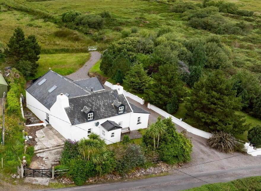 For Sale - Inchiboy, Mastergreehy, Mastergeehy, V23NA49