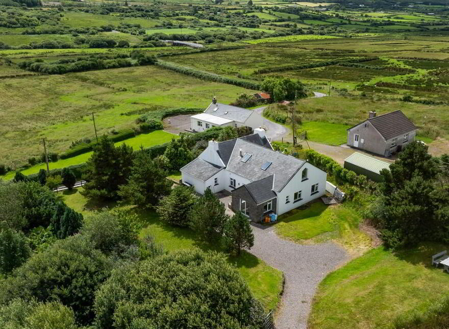 For Sale - Inchiboy, Mastergreehy, Mastergeehy, V23NA49