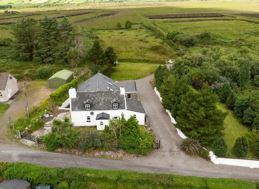 For Sale - Inchiboy, Mastergreehy, Mastergeehy, V23NA49