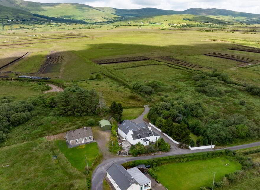 For Sale - Inchiboy, Mastergreehy, Mastergeehy, V23NA49
