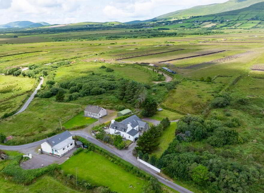 For Sale - Inchiboy, Mastergreehy, Mastergeehy, V23NA49