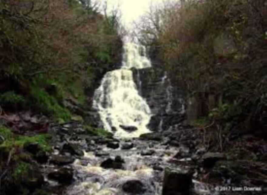 Glenastar, Knocknaboha, Newcastlewest, Carrigkerry