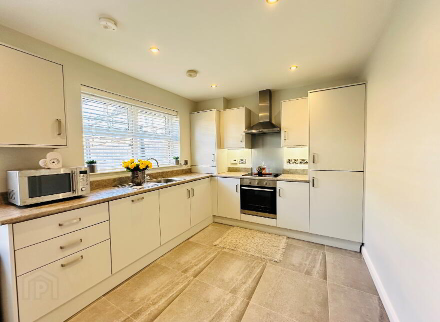19 Park View, Ballymena, BT43 6FR