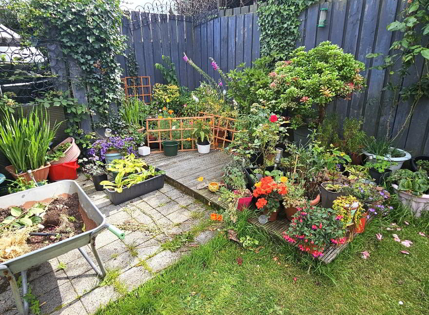 18 Hampton Mews, Bangor, BT19 7GJ