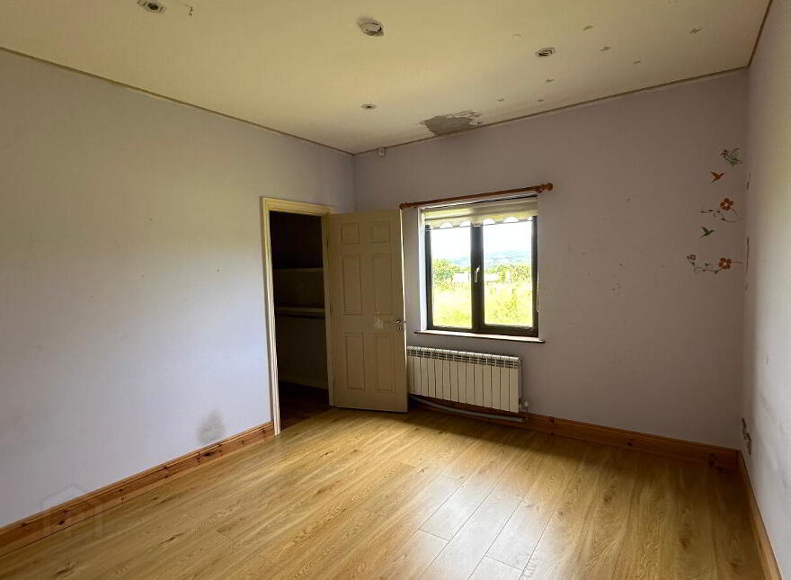 Cluttahina, Cappoquin, P51H4F1