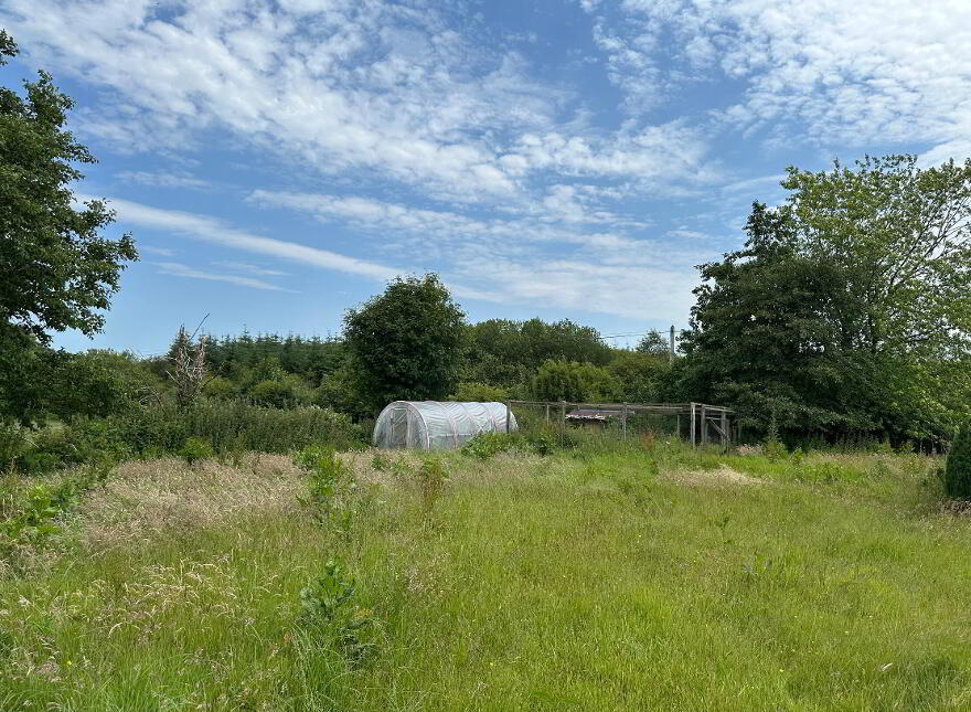 Cluttahina, Cappoquin, P51H4F1