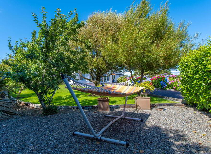 Laguna, Cove Hill, Baltimore, P81K540