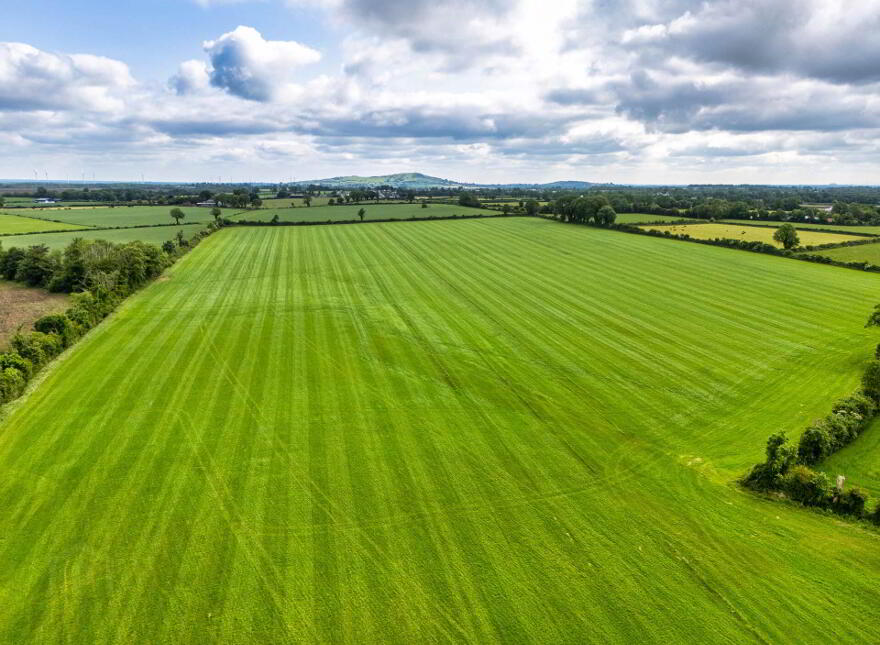 Barnaboy, Daingean