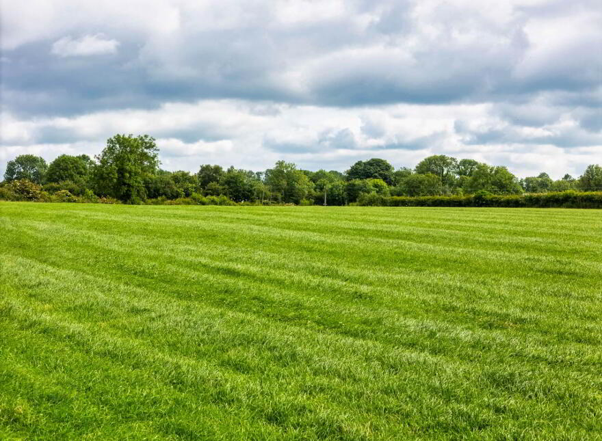 Barnaboy, Daingean