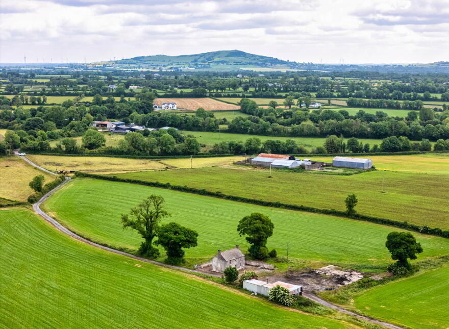Barnaboy, Daingean