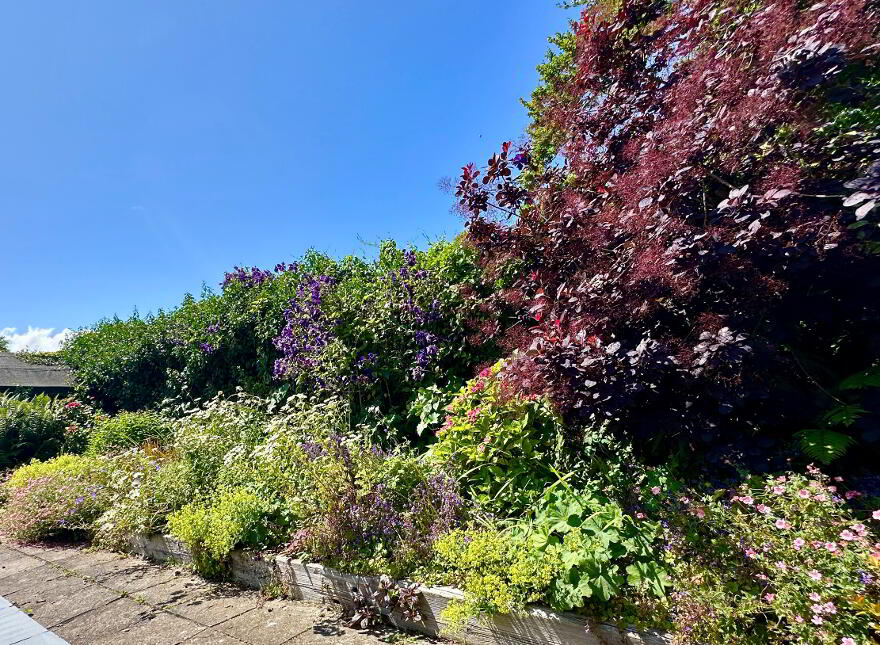 Ros Na Lee, The Turretts, Charleville, P56RW93