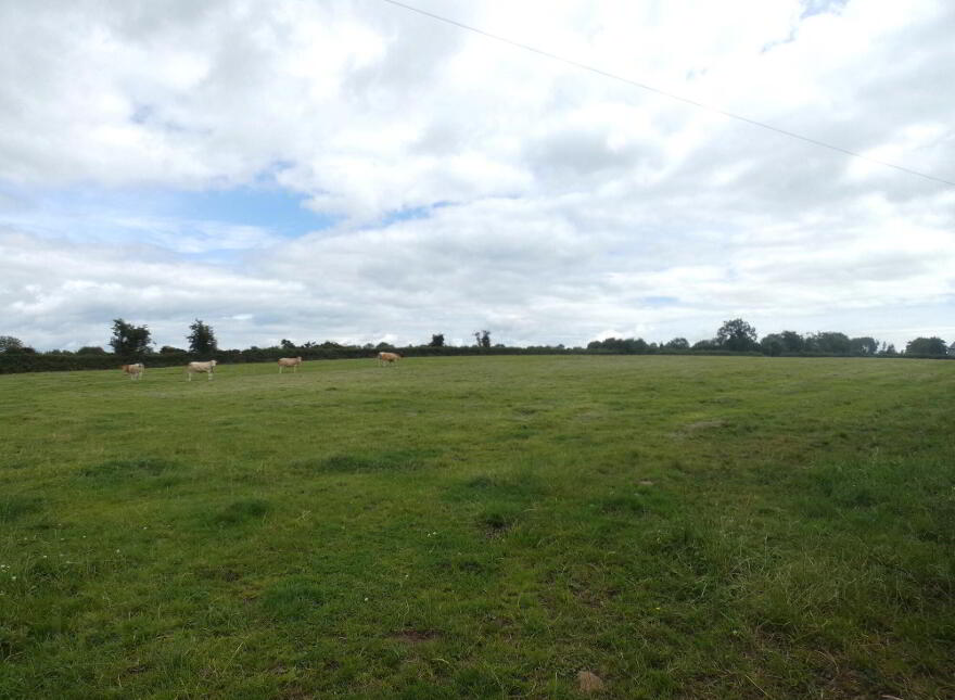 Circa 33 Acres Of Land At, 77 Vow Road, Ballymoney, BT53 7NZ