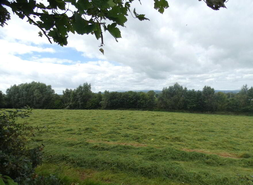 Circa 33 Acres Of Land At, 77 Vow Road, Ballymoney, BT53 7NZ