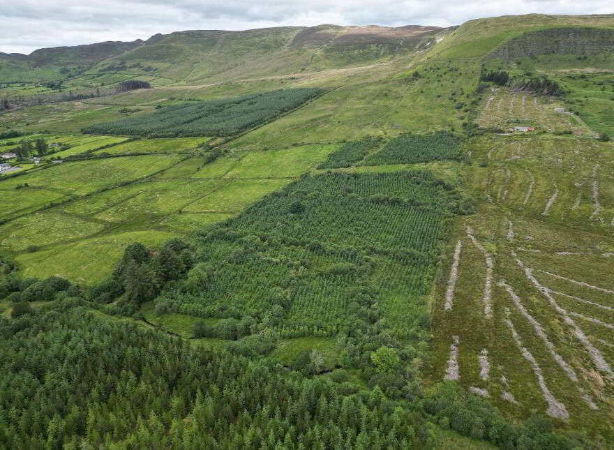 Glackbaun, Calry