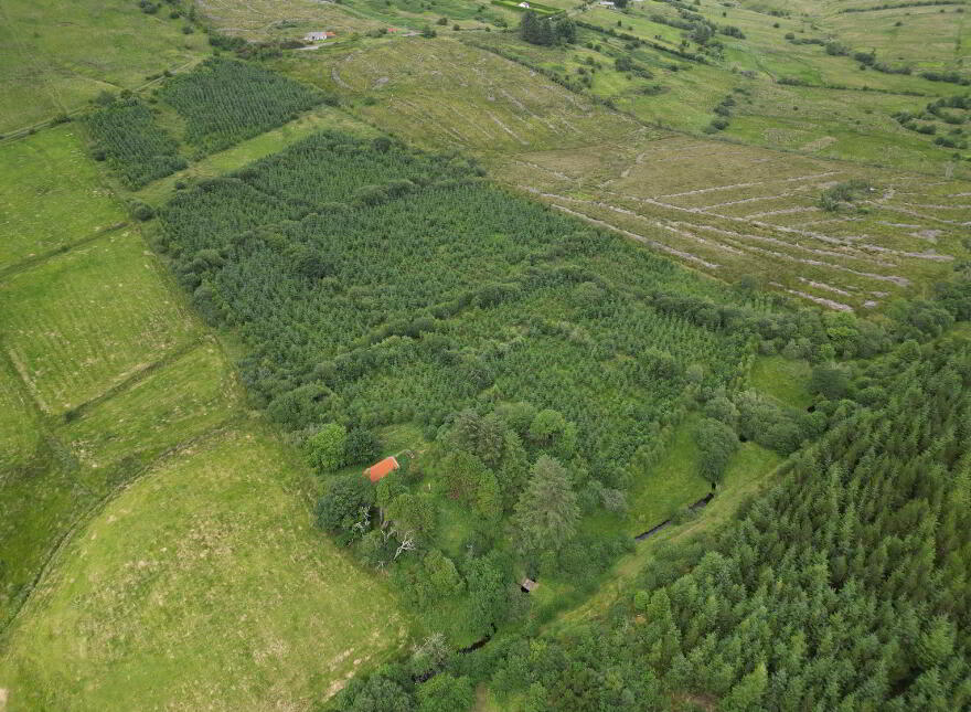Glackbaun, Calry