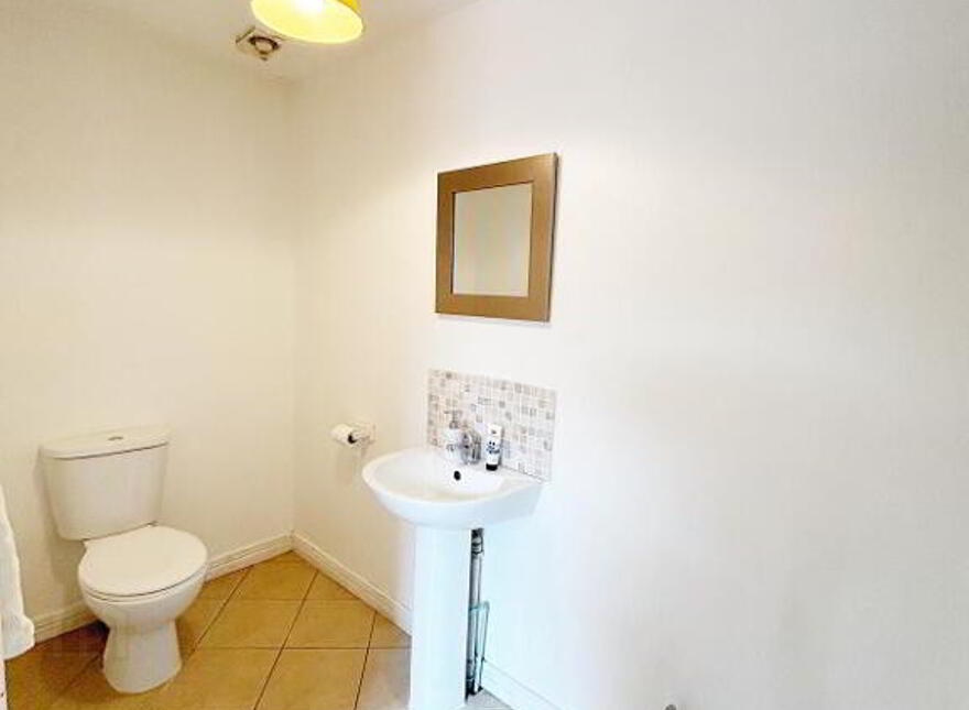 135 Clanabogan Road, Omagh, BT78 1SN
