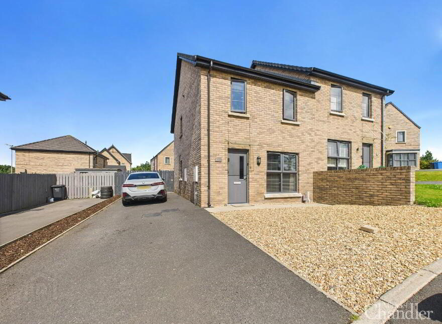 11 Little Enler Way, Comber, Newtownards, BT23 5ZP photo