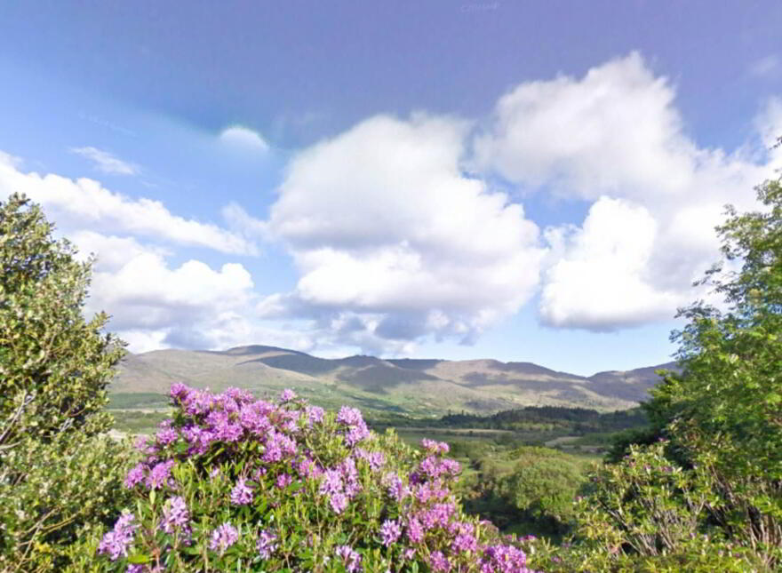 Shronebirrane, Lauragh, V93CD79
