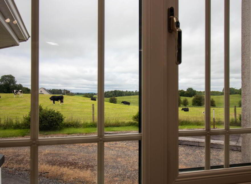 Roebuck, Mountnugent, A82X0T0