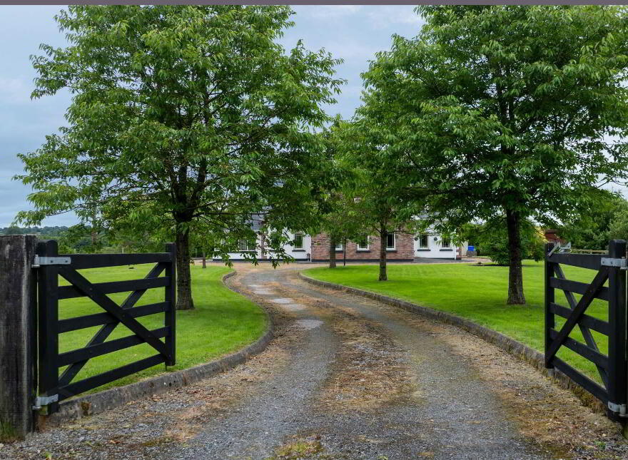 Roebuck, Mountnugent, A82X0T0
