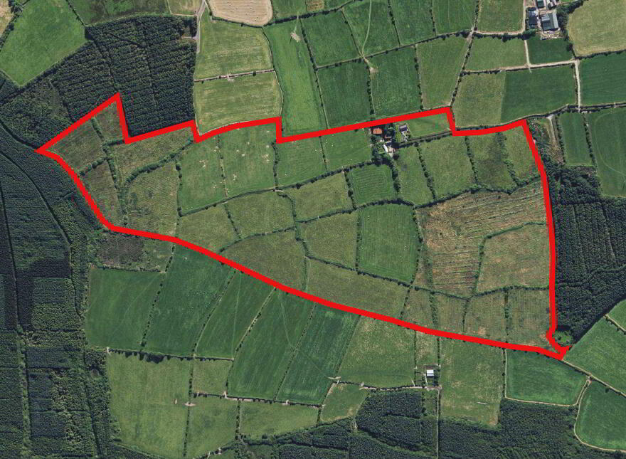 Ballinlammy, Glenmore, Kilkenny Town
