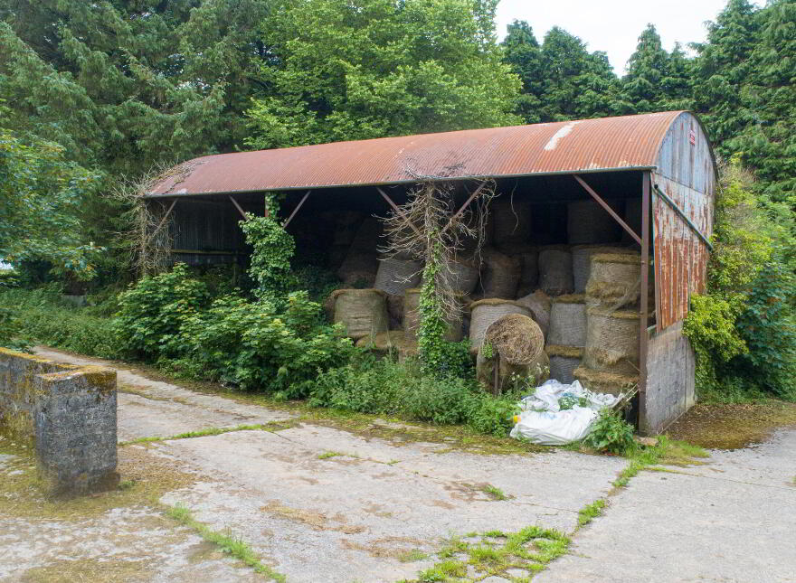 Ballinlammy, Glenmore, Kilkenny Town