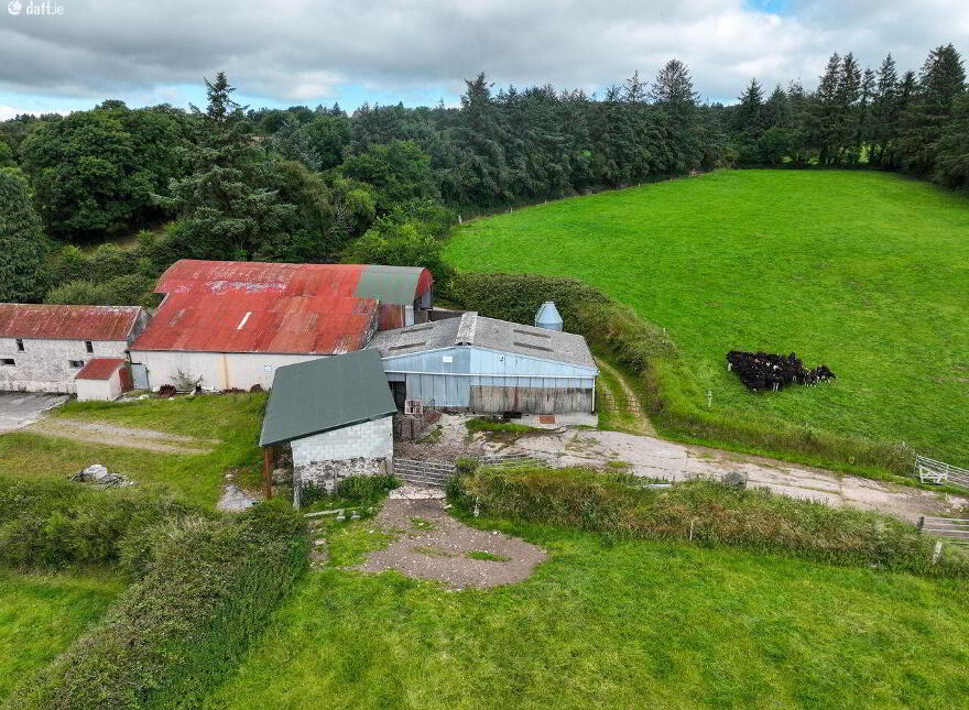 Gortnaskehig, Araglen, Fermoy