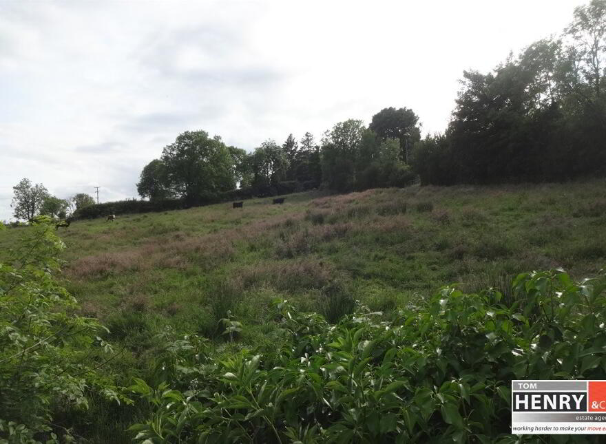Bockets & Ballynahaye Road, Dungannon, BT70 2HN