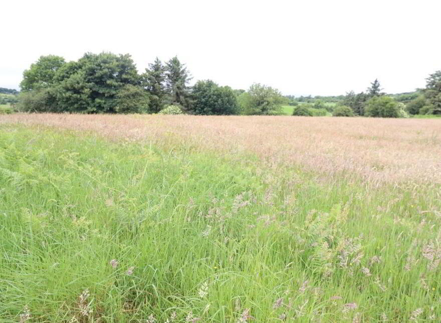 13.3 Acre Roadside Holding Ardrahin, Galbally