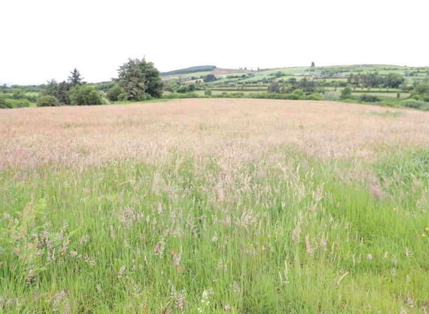13.3 Acre Roadside Holding Ardrahin, Galbally