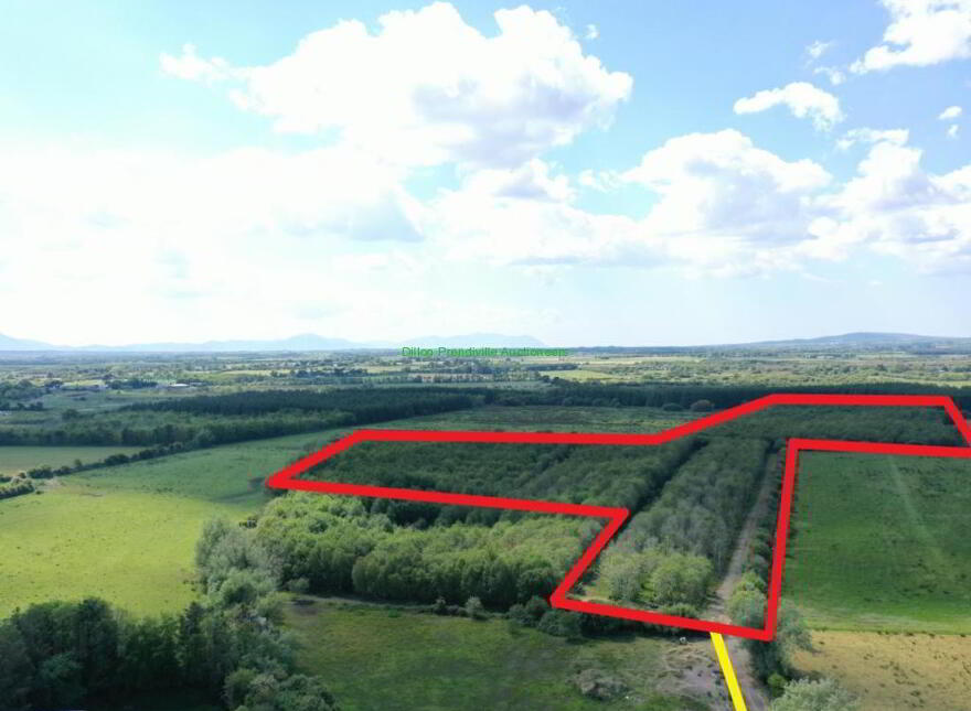 19.7 Acres, Forestry Plantation, 19.7 Acres, Lixnaw, AT