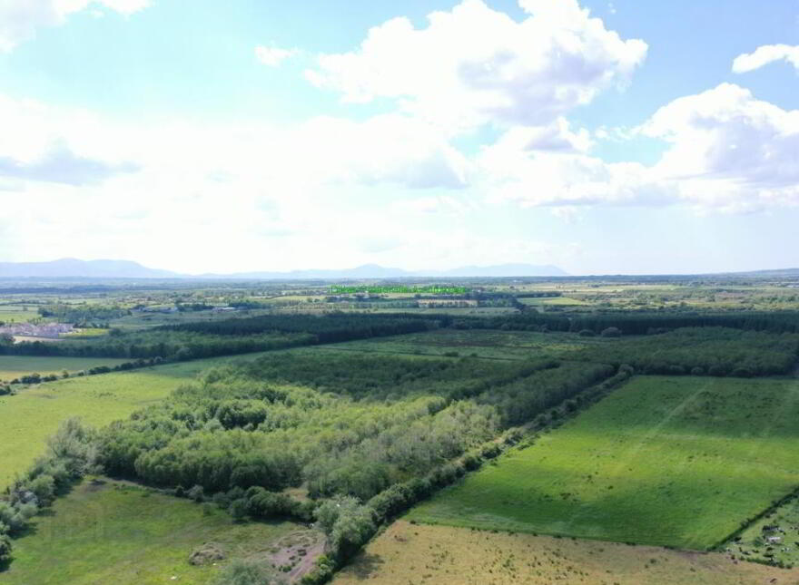 19.7 Acres, Forestry Plantation, 19.7 Acres, Lixnaw, AT