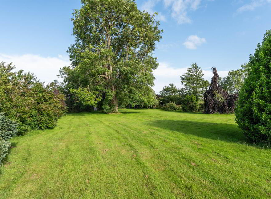 25 Hillhead Road, Ballyrussell, Dundonald, Belfast, BT16 1XD