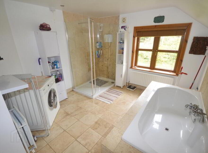 Meenashammer, Ballybofey, F93WK46