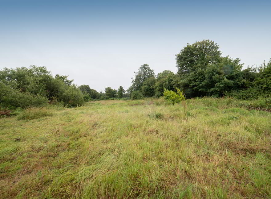 Lisduggan South, Castlemagner, Mallow, P51AD61