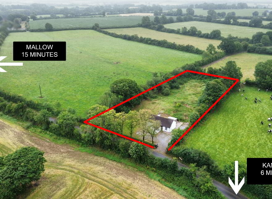 Lisduggan South, Castlemagner, Mallow, P51AD61