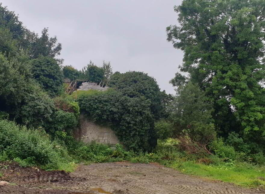 Drumhaggart, Muff