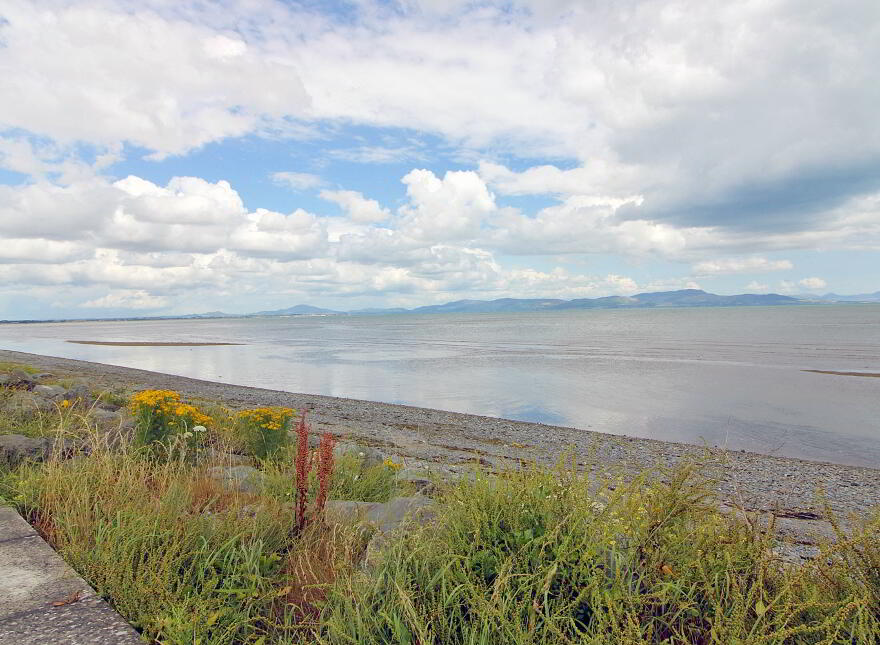 Strand Road, Annagassan, A92X076