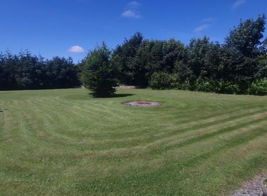 Rivendell, Wolfhill, Ballylynan, R14HY75