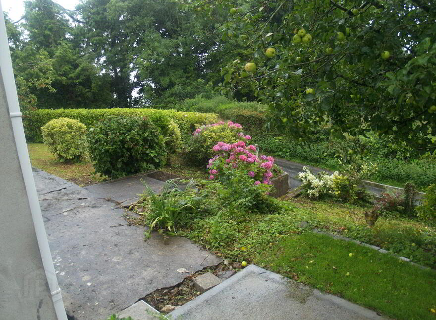Clifton Cottage, Barnavalla, Ballyduff, Waterford, P51D9W9