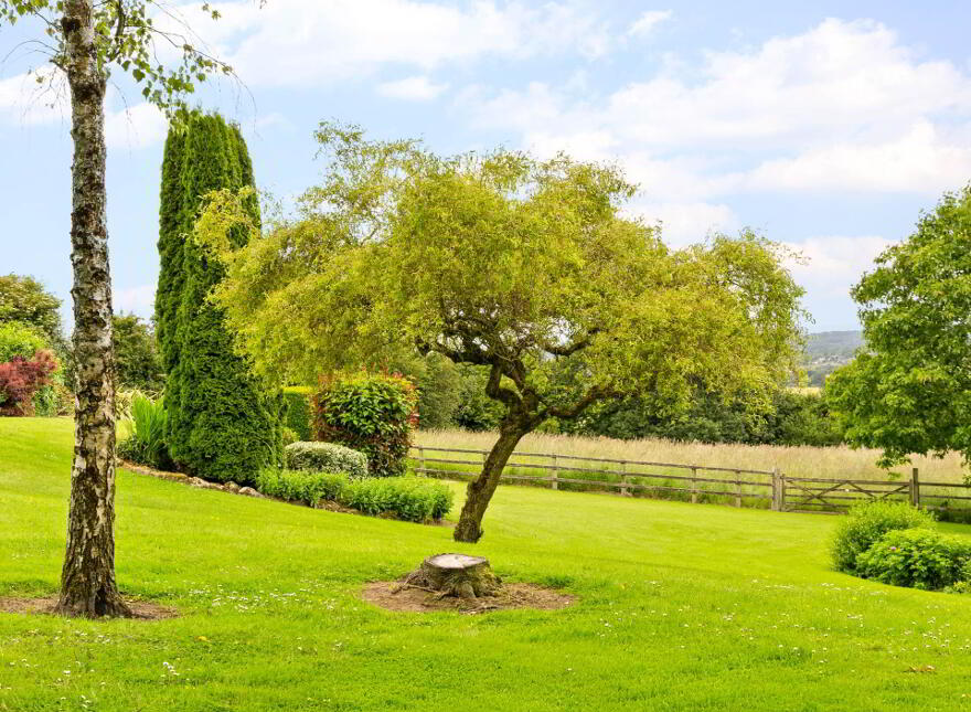 Castlewood, Carrickmourne, Thomastown, R95NH30